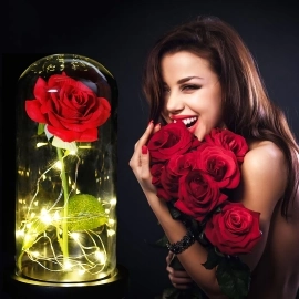 Bild Ewige Rose im Glas