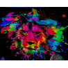 Toile murale fluorescente UV avec tête de lion colorée